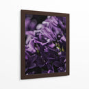Emerger morado | Cuadro decorativo de Canvas Lab