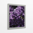 Emerger morado | Cuadro decorativo de Canvas Lab