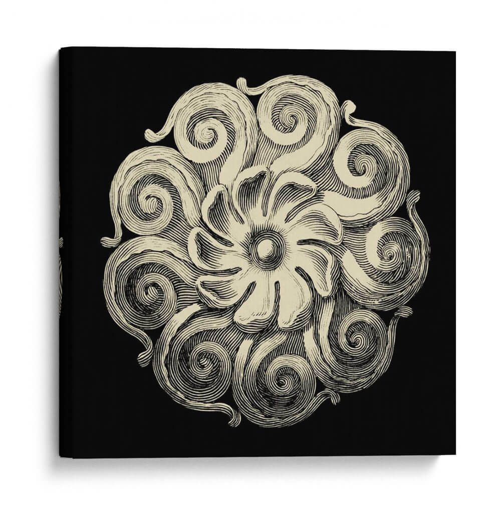 Rosette Negro Y Bronceado I - Vision Studio | Cuadro decorativo de Canvas Lab