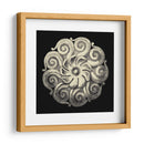 Rosette Negro Y Bronceado I - Vision Studio | Cuadro decorativo de Canvas Lab