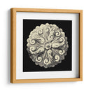 Rosetón Negro Y Bronceado Ii - Vision Studio | Cuadro decorativo de Canvas Lab