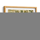 Clasificación De Plantas Tropicales. - Vision Studio | Cuadro decorativo de Canvas Lab