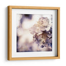 Dusk Púrpura Ii - Emily Robinson | Cuadro decorativo de Canvas Lab