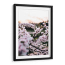 Flores de cerezo | Cuadro decorativo de Canvas Lab