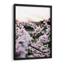 Flores de cerezo | Cuadro decorativo de Canvas Lab