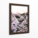 Flores de cerezo | Cuadro decorativo de Canvas Lab