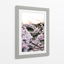 Flores de cerezo | Cuadro decorativo de Canvas Lab