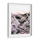 Flores de cerezo | Cuadro decorativo de Canvas Lab