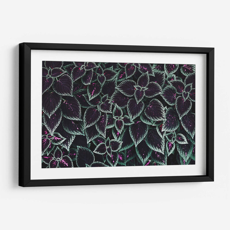 Familia de hojas | Cuadro decorativo de Canvas Lab