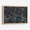 Familia de hojas | Cuadro decorativo de Canvas Lab