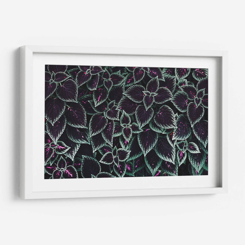 Familia de hojas | Cuadro decorativo de Canvas Lab