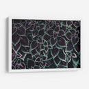 Familia de hojas | Cuadro decorativo de Canvas Lab