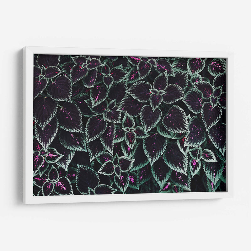 Familia de hojas | Cuadro decorativo de Canvas Lab