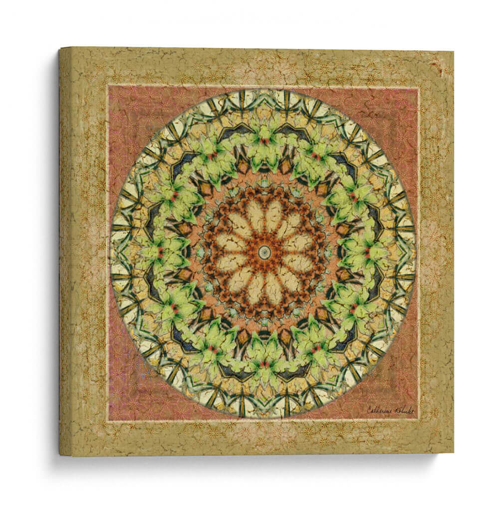 Floresis Mandala Iv - Catherine Kohnke | Cuadro decorativo de Canvas Lab