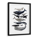 Pantalla De Ballena I - Naomi McCavitt | Cuadro decorativo de Canvas Lab