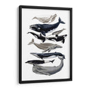 Pantalla De Ballena I - Naomi McCavitt | Cuadro decorativo de Canvas Lab