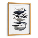 Pantalla De Ballena I - Naomi McCavitt | Cuadro decorativo de Canvas Lab