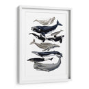 Pantalla De Ballena I - Naomi McCavitt | Cuadro decorativo de Canvas Lab