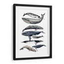 Pantalla De Ballena Ii - Naomi McCavitt | Cuadro decorativo de Canvas Lab