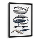 Pantalla De Ballena Ii - Naomi McCavitt | Cuadro decorativo de Canvas Lab