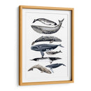 Pantalla De Ballena Ii - Naomi McCavitt | Cuadro decorativo de Canvas Lab