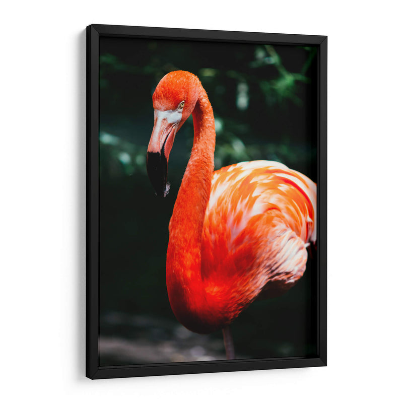 Flamingo carmín | Cuadro decorativo de Canvas Lab