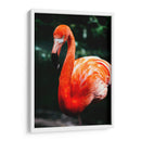 Flamingo carmín | Cuadro decorativo de Canvas Lab