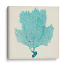 Fan De Mar Iii - Vision Studio | Cuadro decorativo de Canvas Lab