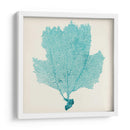 Fan De Mar Iii - Vision Studio | Cuadro decorativo de Canvas Lab