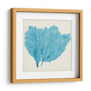 Fan De Mar Iv - Vision Studio | Cuadro decorativo de Canvas Lab