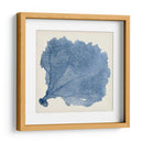 Fan De Mar V - Vision Studio | Cuadro decorativo de Canvas Lab