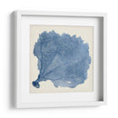 Fan De Mar V - Vision Studio | Cuadro decorativo de Canvas Lab
