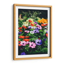 Flores de colores | Cuadro decorativo de Canvas Lab