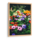 Flores de colores | Cuadro decorativo de Canvas Lab