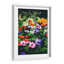 Flores de colores | Cuadro decorativo de Canvas Lab