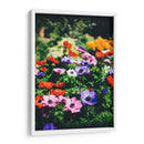 Flores de colores | Cuadro decorativo de Canvas Lab