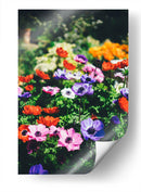 Flores de colores | Cuadro decorativo de Canvas Lab