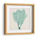 Fan De Mar I - Vision Studio | Cuadro decorativo de Canvas Lab