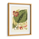 Fantástico Botánico I - Vision Studio | Cuadro decorativo de Canvas Lab