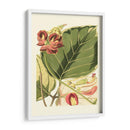 Fantástico Botánico I - Vision Studio | Cuadro decorativo de Canvas Lab