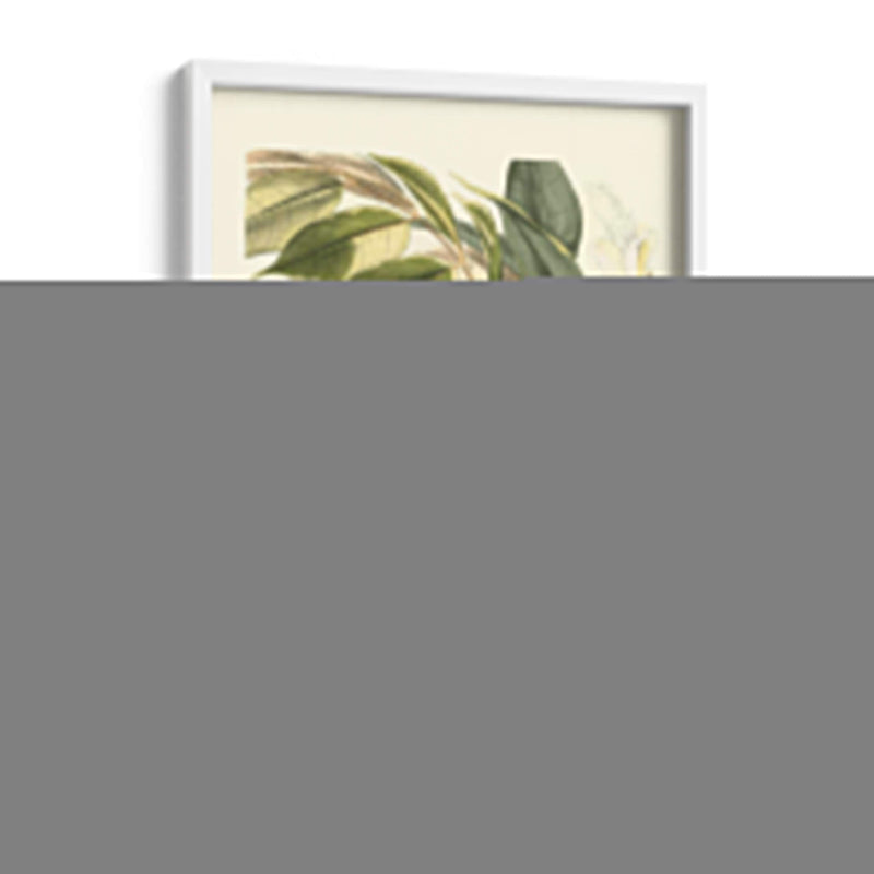 Fantástico Botánico Ii - Vision Studio | Cuadro decorativo de Canvas Lab