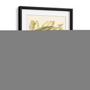 Fantástico Botánico Iii - Vision Studio | Cuadro decorativo de Canvas Lab