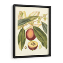 Fantástico Botánico Iii - Vision Studio | Cuadro decorativo de Canvas Lab