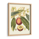 Fantástico Botánico Iii - Vision Studio | Cuadro decorativo de Canvas Lab