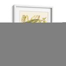 Fantástico Botánico Iii - Vision Studio | Cuadro decorativo de Canvas Lab