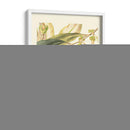 Fantástico Botánico Iii - Vision Studio | Cuadro decorativo de Canvas Lab