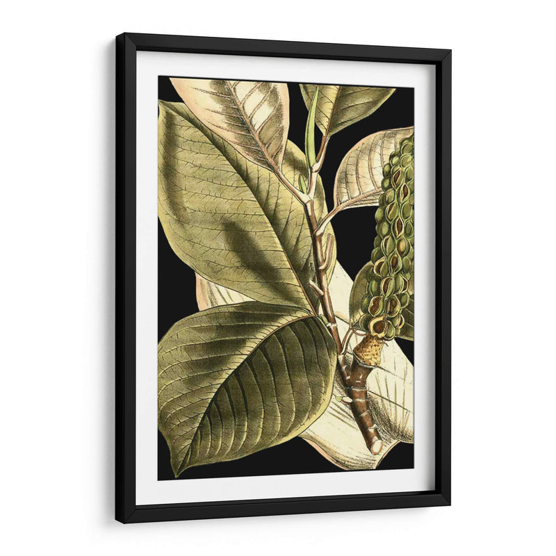 Hojas Tropicales Tranquilas Ii - Vision Studio | Cuadro decorativo de Canvas Lab