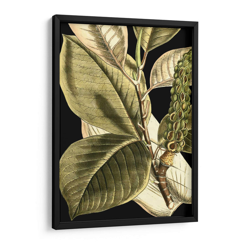 Hojas Tropicales Tranquilas Ii - Vision Studio | Cuadro decorativo de Canvas Lab