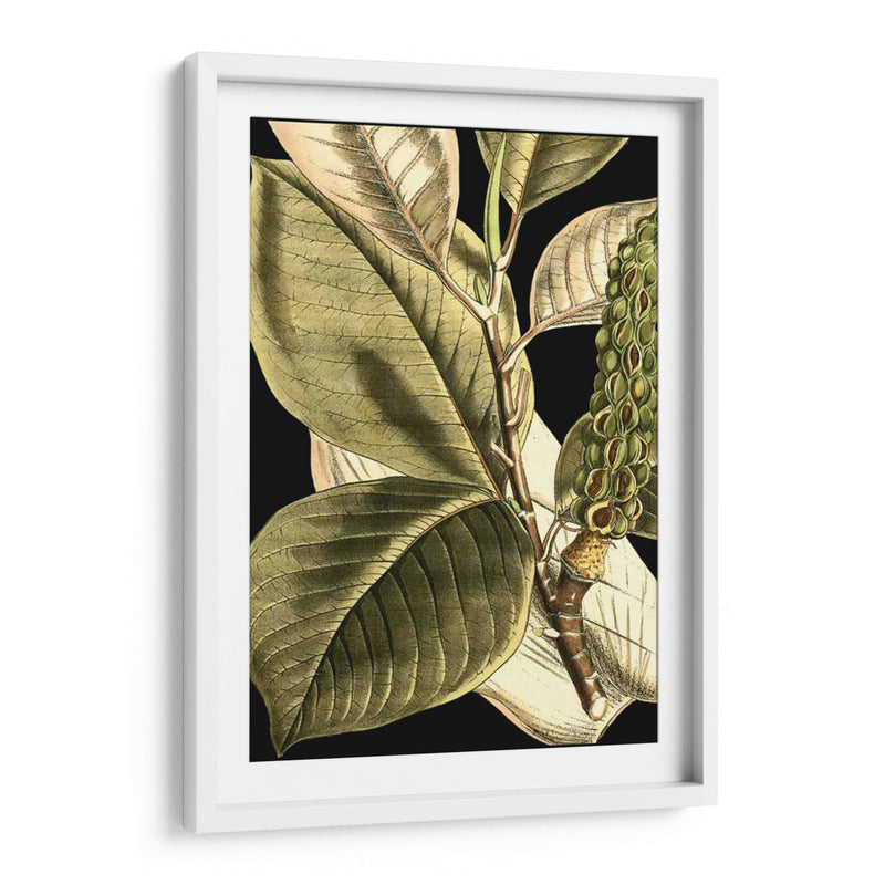 Hojas Tropicales Tranquilas Ii - Vision Studio | Cuadro decorativo de Canvas Lab