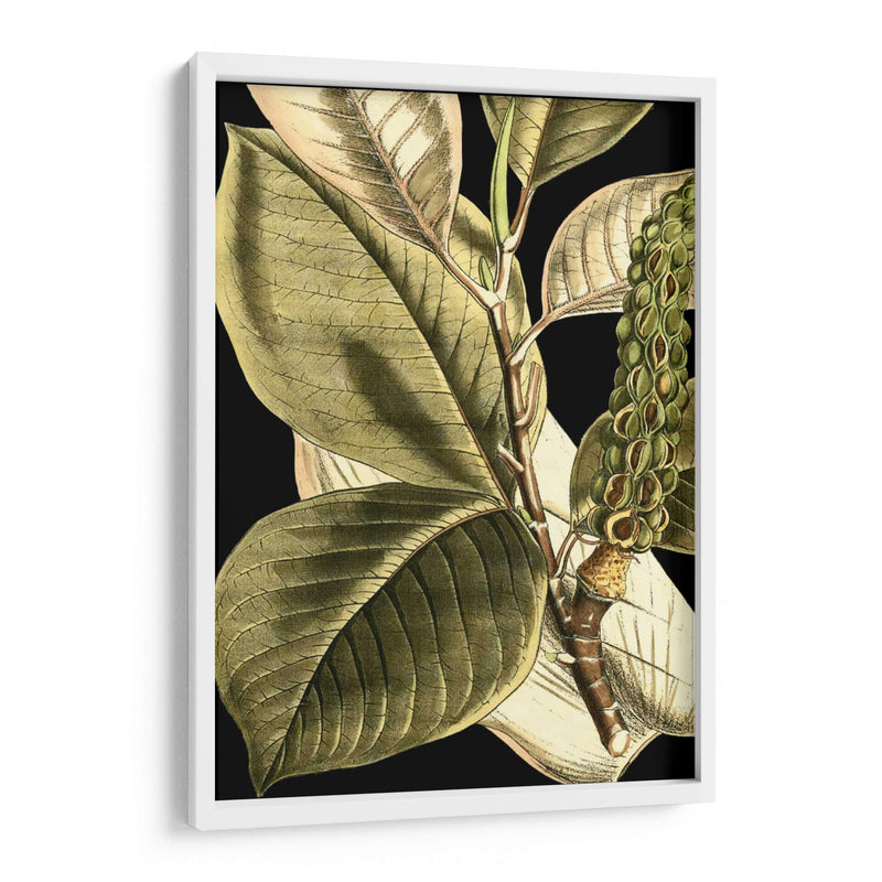 Hojas Tropicales Tranquilas Ii - Vision Studio | Cuadro decorativo de Canvas Lab